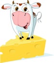 ute Cow Standing on the Cheese - Funny Vector Cartoon Illustration