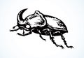 Rhinoceros beetle. Vector drawing