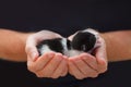 ÃÂ¡ute little baby kitten is sleeping on the palm of human hands, close-up. Copy space