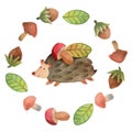 ÃÂ¡ute little hedgehog with mushroom and leaf surrounded by wreath of mushroom, hazelnut and leaf, isolated on white background Royalty Free Stock Photo