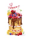 ÃÂ¡ute watercolor cake with a layer of cream and chocolate icing, decorated berries and fruts Royalty Free Stock Photo