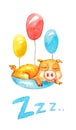 Watercolor pig sleep in backet with different colours ballons