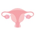 Uterus with appendages ovaries vector illustration