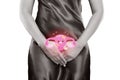Uterus or Endometrium illustration