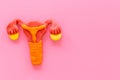 Uterus of female reproductive system. Anatomical model top view Royalty Free Stock Photo