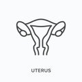 Uterus flat line icon. Vector outline illustration of womb. Black thin linear pictogram for gynecology system