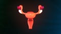 Uterus Front view Royalty Free Stock Photo