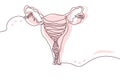 Uterus Hand drawn icon continuous line drawing and pink flat silhouette. Human organs. Medicine trendy concept One