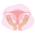 Uterus in hands with appendages vector illustration