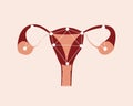 Human uterus and ovaries isolated, technological flat vector stock illustration, modern human organ research