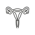 Uterus icon - editable stroke Royalty Free Stock Photo