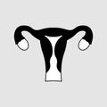 Uterus icon with ovary, cervix, fallopian tubes isolated on background. Female reproductive system