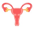 Uterus icon vector. Internal woman organ. World menopause day, endometriosis illustration