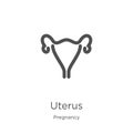 uterus icon vector from pregnancy collection. Thin line uterus outline icon vector illustration. Outline, thin line uterus icon