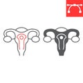 Uterus line and glyph icon