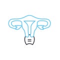 uterus line icon, outline symbol, vector illustration, concept sign