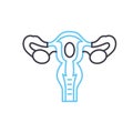 uterus line icon, outline symbol, vector illustration, concept sign