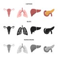 Uterus, lungs, liver, pancreas. Organs set collection icons in cartoon,black,monochrome style vector symbol stock