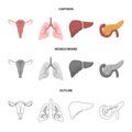 Uterus, lungs, liver, pancreas. Organs set collection icons in cartoon,outline,monochrome style vector symbol stock