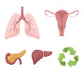 Uterus, lungs, liver, pancreas. Organs set collection icons in cartoon style vector symbol stock illustration web.