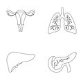 Uterus, lungs, liver, pancreas. Organs set collection icons in outline style vector symbol stock illustration web.