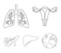 Uterus, lungs, liver, pancreas. Organs set collection icons in outline style vector symbol stock illustration web.