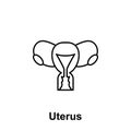 Uterus, organ icon. Element of human organ icon. Thin line icon for website design and development, app development. Premium icon Royalty Free Stock Photo