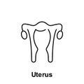 Uterus, organ icon. Element of human organ icon. Thin line icon for website design and development, app development. Premium icon Royalty Free Stock Photo
