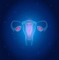 Uterus and ovaries background