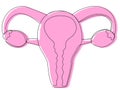 Uterus with ovaries in one line and pink silhouette on a white background.