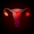 Uterus and ovaries with a point of pain. Stylized transition from a real organ to an X-ray effect. Medical illustration