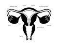 Reproductive system concept Royalty Free Stock Photo