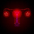Uterus with ovary, cervix, fallopian tubes isolated on background. Female reproductive system. Healthy womb. Gynecology, anatomy c