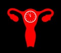 Uterus with time clock