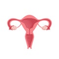 Uterus. Women Health. Female reproductive system, cycle. Human anatomy. Diagram of the location of the organs of the Royalty Free Stock Photo