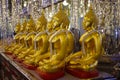 UTHAI THANI PROVINCE, THAILAND - August, 2016: Golden Buddha statue at Cathedral glass, Wat Tha Sung or Wat Chantharam Royalty Free Stock Photo