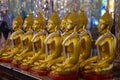 UTHAI THANI PROVINCE, THAILAND - August, 2016: Golden Buddha statue at Cathedral glass, Wat Tha Sung or Wat Chantharam Royalty Free Stock Photo