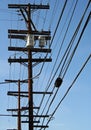 Utility Pole Royalty Free Stock Photo