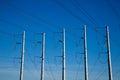 Utility Poles and Light Wires