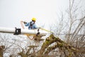 Utility Worker Tree Trimming