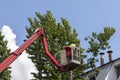 Utility workers cut branches from a tall urban tree.