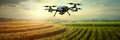 Utilize drones equipped with sensors and cameras to monitor crop health, detect diseases, and optimize planting patterns