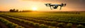 Utilize drones equipped with sensors and cameras to monitor crop health, detect diseases, and optimize planting patterns