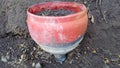 utilizing used plastic water gallon waste for plant pots Royalty Free Stock Photo