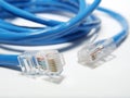 Utp cable for internet Royalty Free Stock Photo