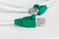 UTP CAT5 Network Cable on White Background. Royalty Free Stock Photo