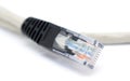 UTP Patchcord