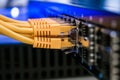 Utp wires are in the office router close-up. Internet cable is in the datacenter server room. Several yellow network wires are Royalty Free Stock Photo