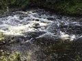 Utrata River - Zelazowa Wola, Mazowieckie, Poland Royalty Free Stock Photo