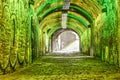 Utrecht illuminated tunnel